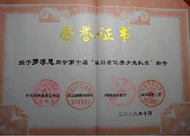罗淳思获全国“艺术之星”称号