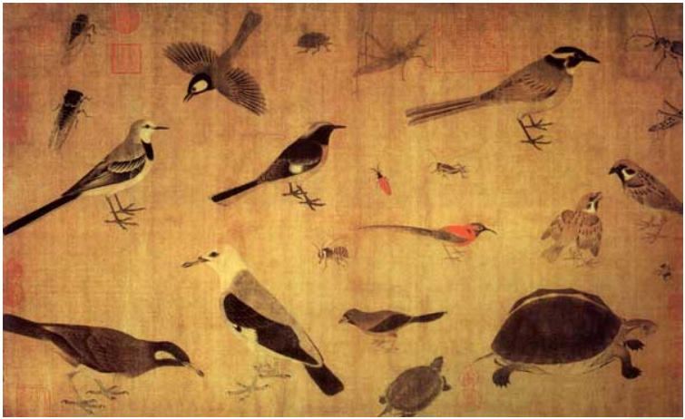 1918年5月徐悲鸿评文华殿所藏书画之二 五代黄筌《鹰逐画眉》
